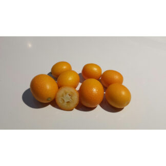 Bio Kumquat