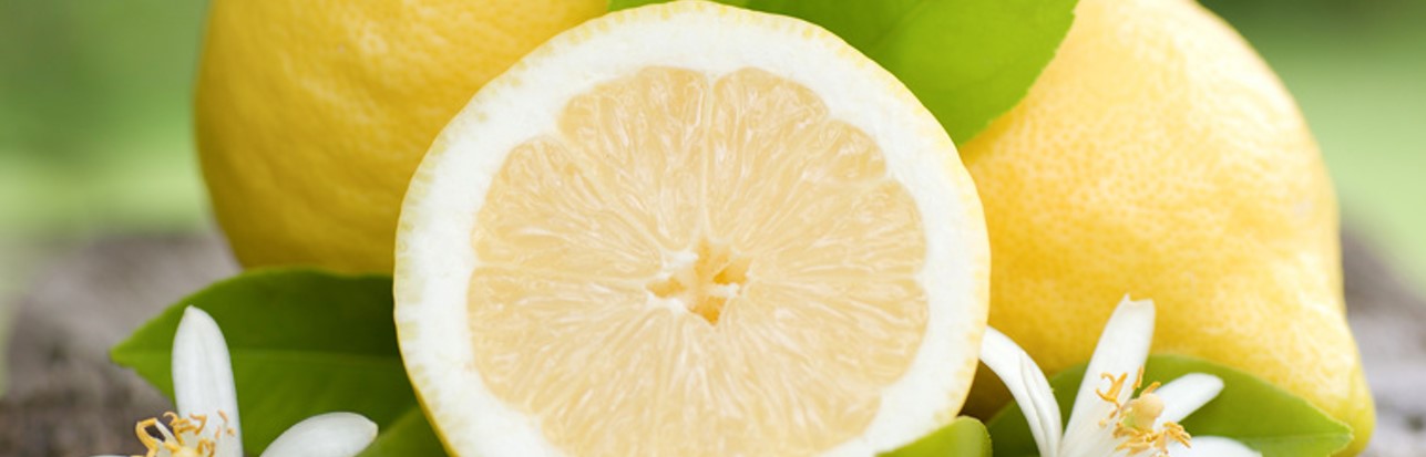 3 Bio Zitronen - Frutas Biobena